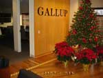ID:373; Floor and Border project at Gallup HQ in Princeton